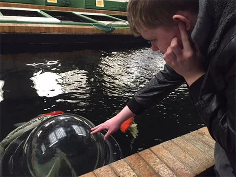 A man looking at a large clear sphere in water
