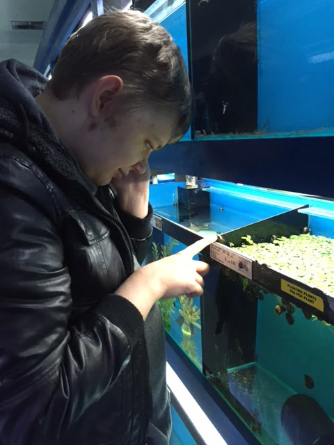 A visitor pointing at fish in an aquarium