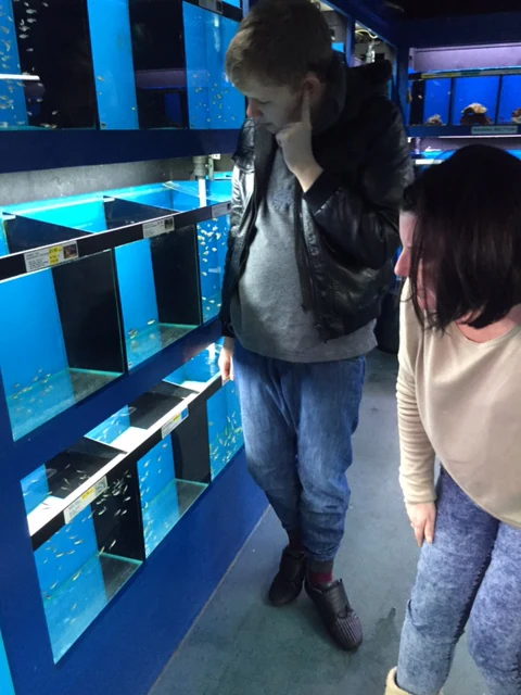 Visitors looking at illuminated aquariums